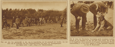871912 Collage van 2 foto's betreffende de activiteiten van de Utrechtsche Vereeniging voor Duitsche Herdershonden in ...